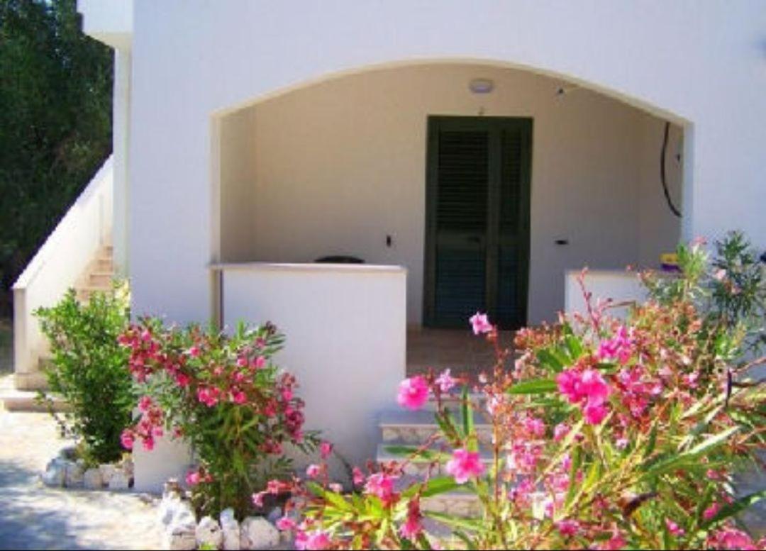 Villa Rinaldi Apartment В'єсте Екстер'єр фото
