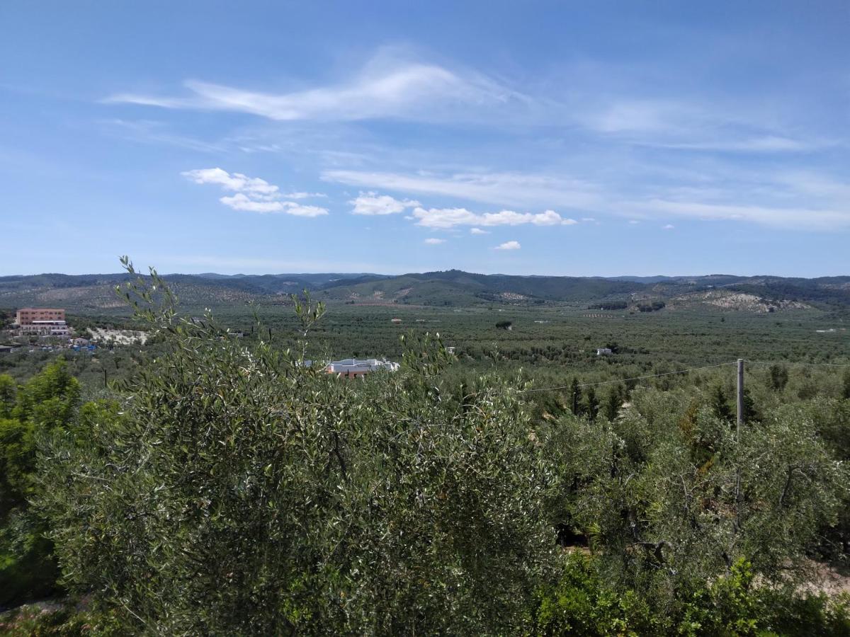 Villa Rinaldi Apartment В'єсте Екстер'єр фото
